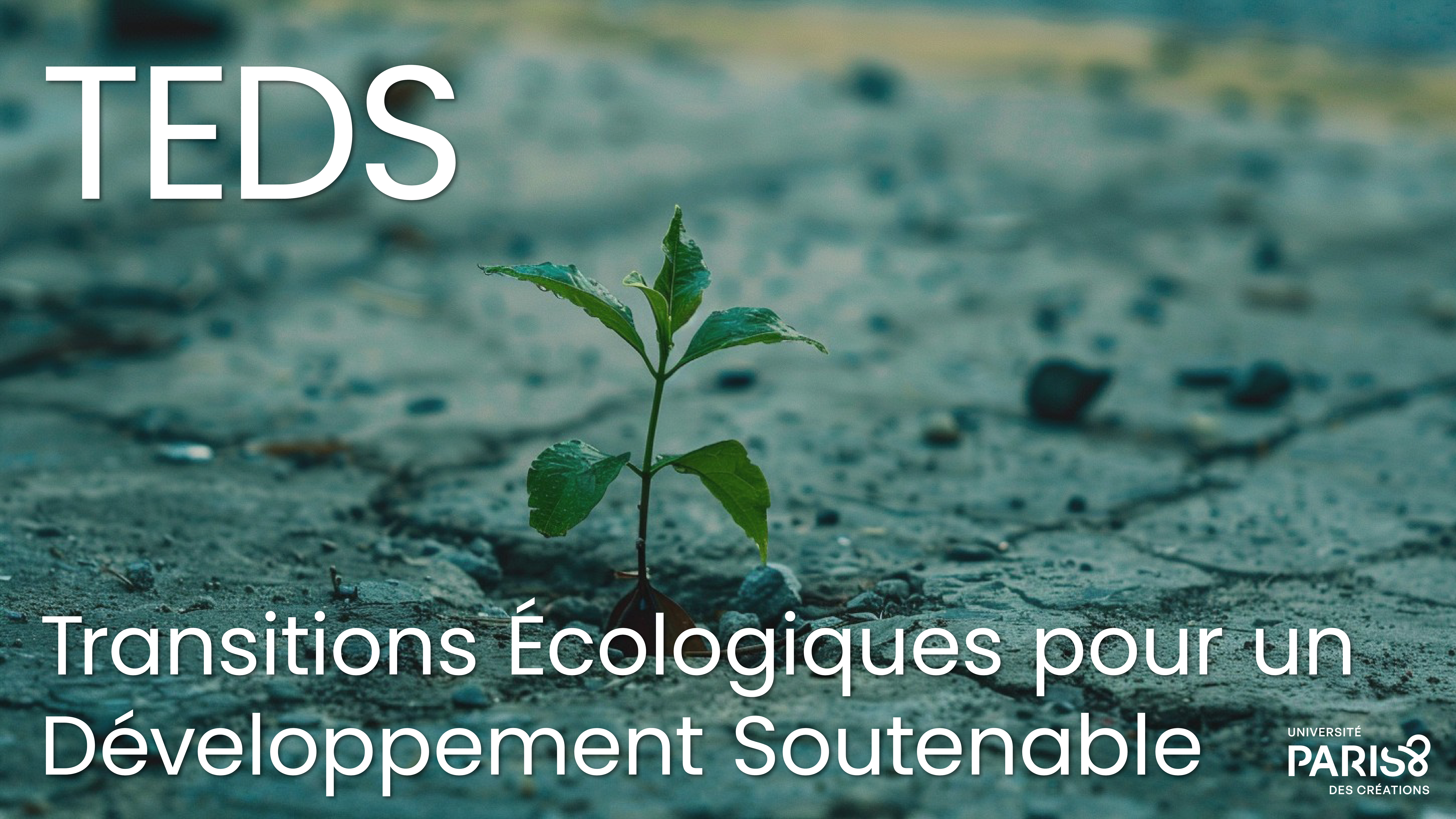 Logo du cours Transition écologique pour un développement soutenable (TEDS)